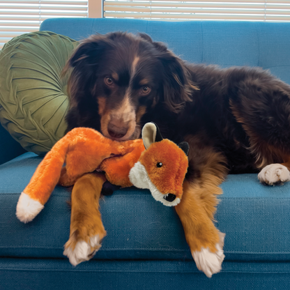Kong - Low Stuff Fox