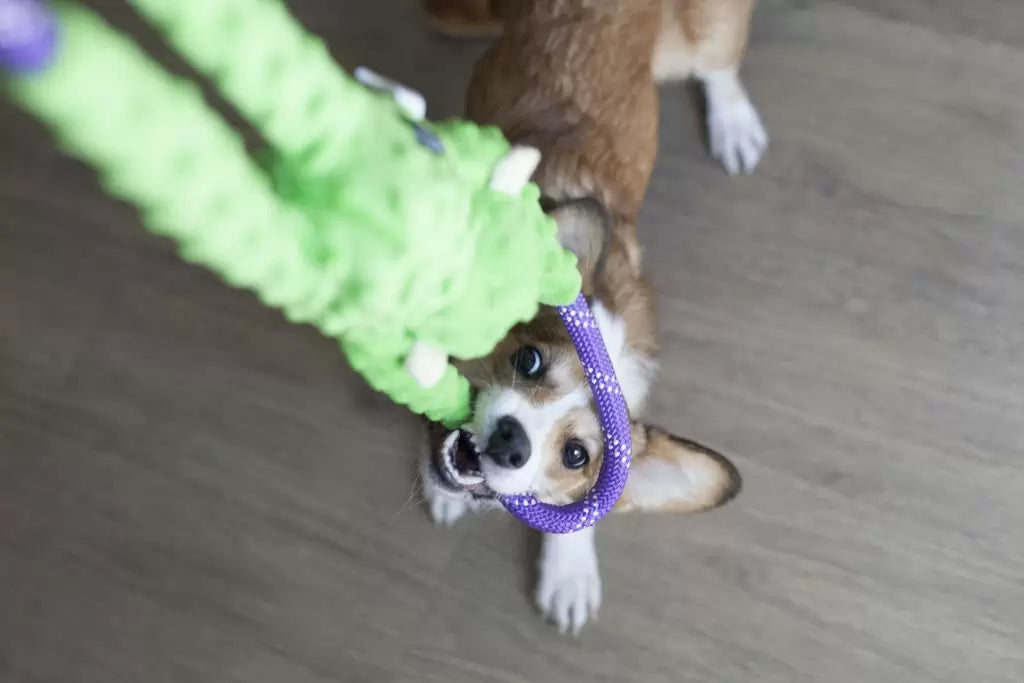 Monkey RopeTugz® – Green
