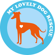 Christmas Raffle in Aid of Wicklow Animal Welfare & My Lovely Horse Rescue **