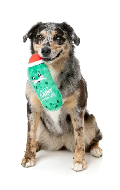 Jolly Old St Pickl-ous