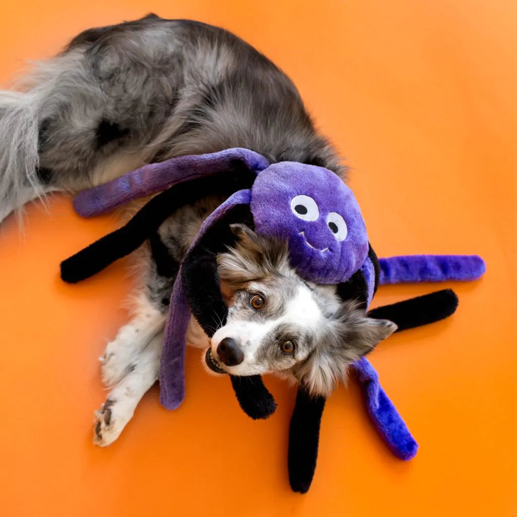 Halloween Grunterz – Purple Spider