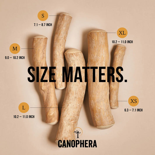 Canophera Coffee Wood Sticks