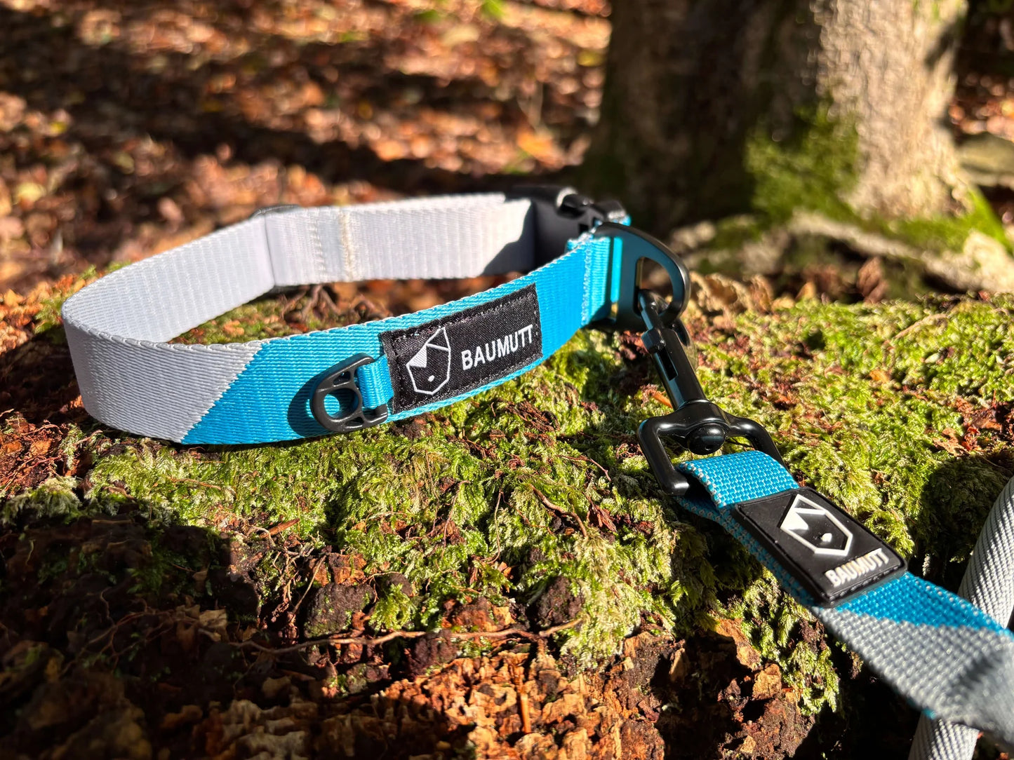 Baumutt Axis Dog Collar