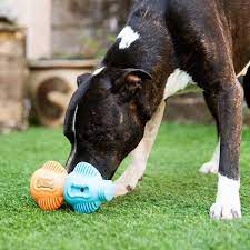 Tuff Toothie - K9 Connectables Pro Dog Toy
