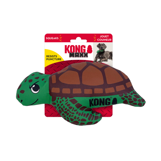 Maxx Turtle