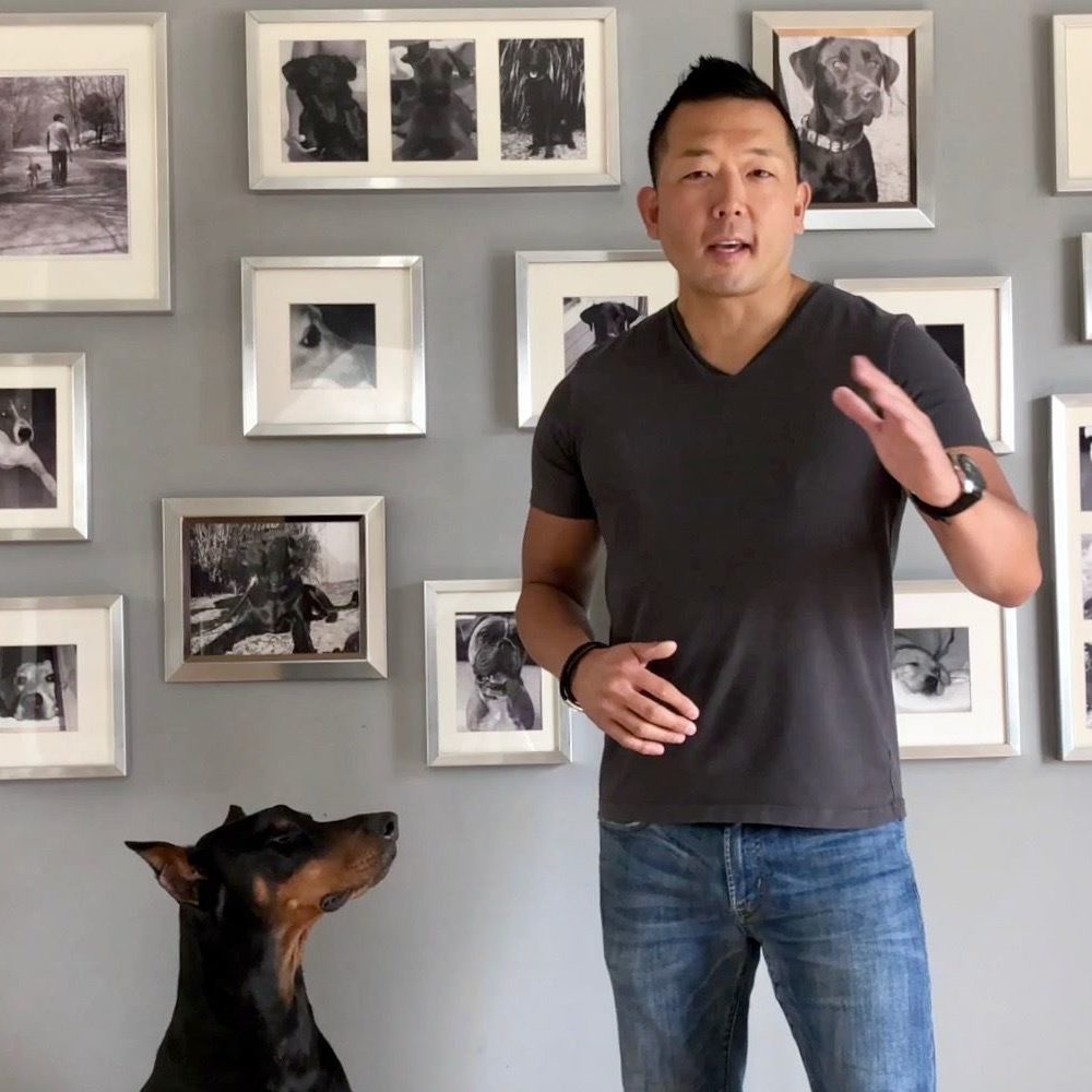Michael Shikashio - Understanding & Working with Dog Aggression