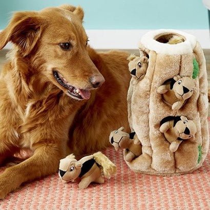 Outward Hound Hide-A-Squirrel Squeaky Puzzle Plush Dog Toy - Hide and Seek  Activity for Dogs XL Squirrel